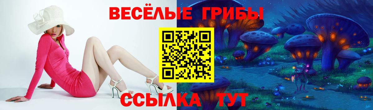 Галлюциногенные грибы MAGIC MUSHROOMS Зеленодольск